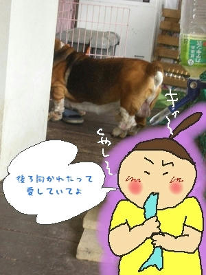 71339ed7.jpg