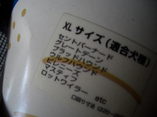 ぬ～ん.JPG