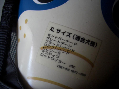 ぬぬ～ん.JPG