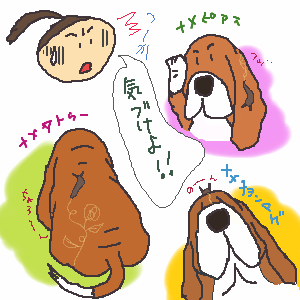 ナメコレ.gif