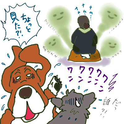 bouz-2.gif