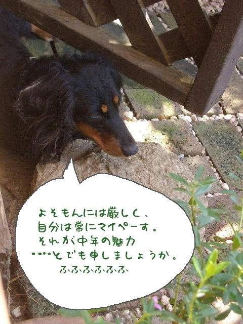 06d26925.jpg