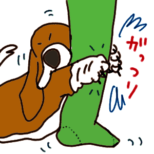 gatturi-3.gif