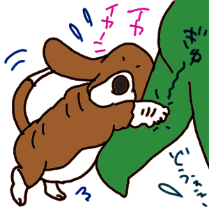 iyaiya.GIF