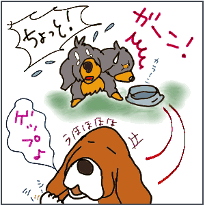 kutta.gif
