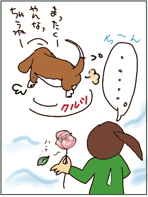 saru.gif