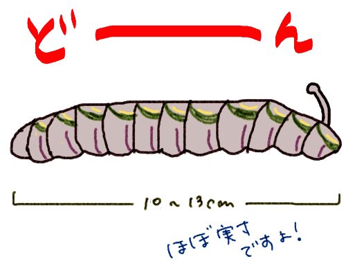 imoimo.gif
