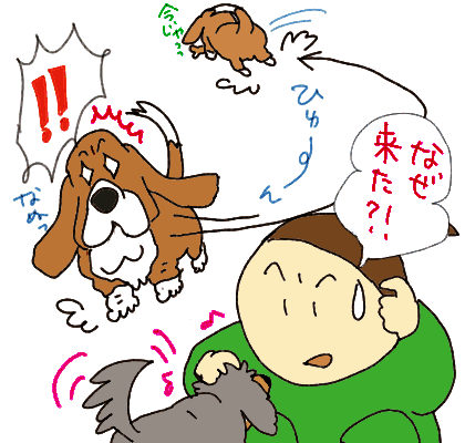 今がチャンス.gif