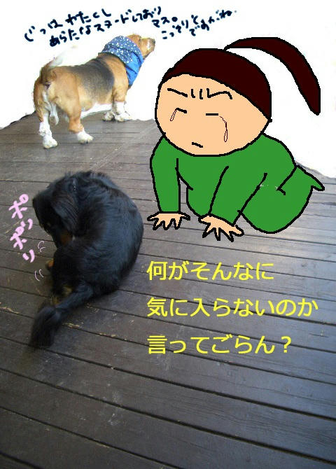 onamida.JPG