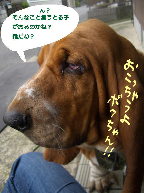 ボクちゃんの主張.jpg