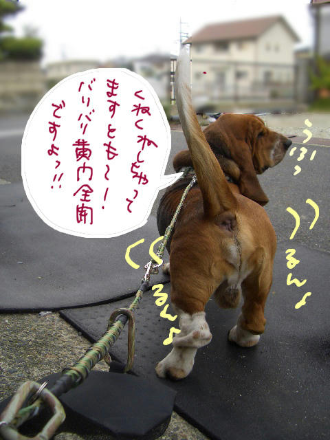 黄門伝説.jpg