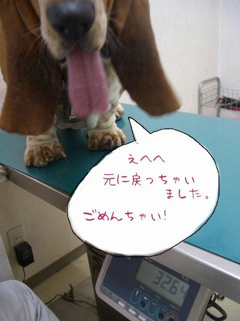 リバウンド王.JPG