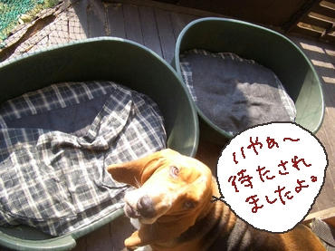 お待ち.jpg