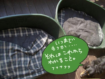 勝負.jpg