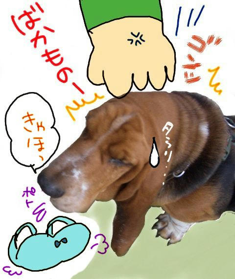 ｶﾞﾂﾝ.JPG