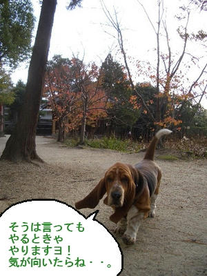 ボクちゃんマイペース.jpg