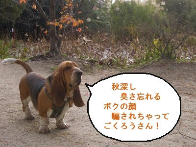かわいいコンチクショー.jpg