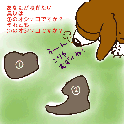 オシッコの分かれ道.gif