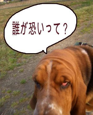 誰が？.JPG
