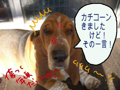 岡村風にね.JPG