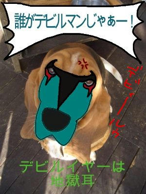 デェビィール.JPG