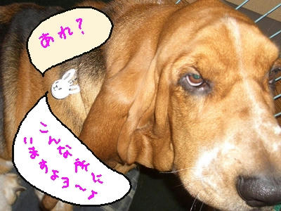 うふふ.jpg