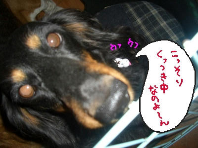 えへへ.JPG