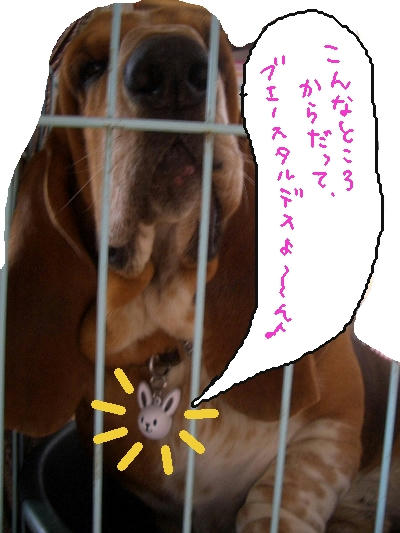 あはは.jpg