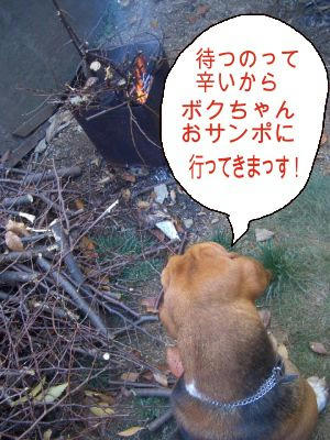 嘆きの犬.JPG