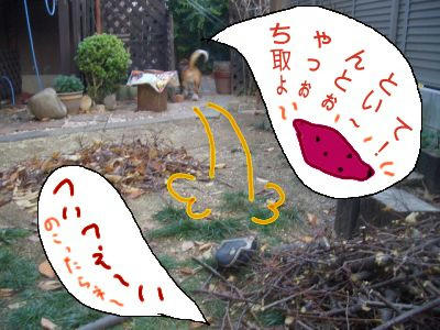 行ってらっさぁ～い.JPG
