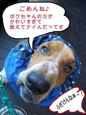 そうなんです。えへっ！.JPG