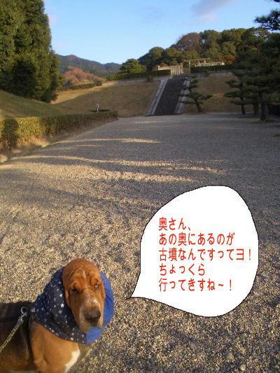 入口.JPG