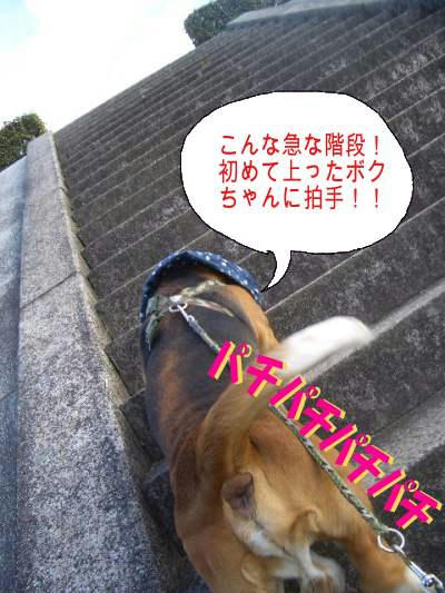 階段初挑戦.jpg