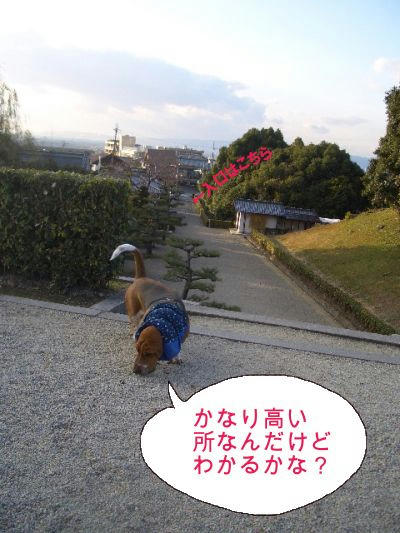 クンクン中.JPG