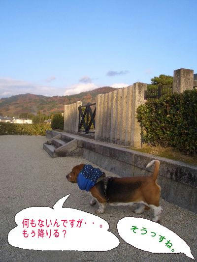 頂上風景.JPG