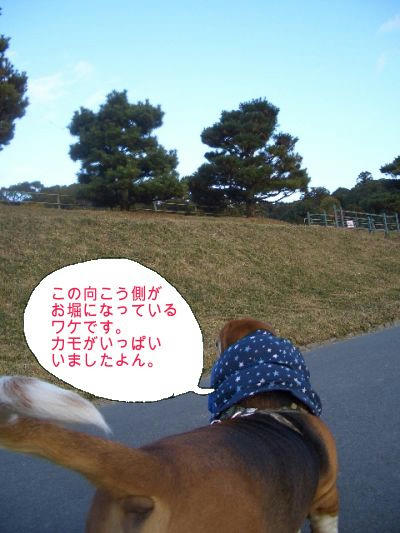 ハイキングコース.JPG