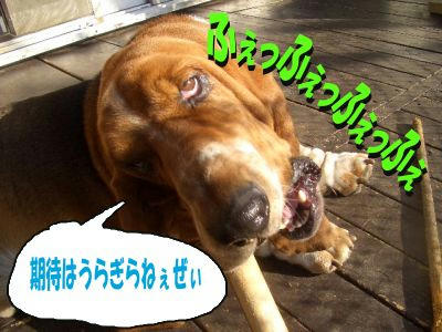 わる.JPG