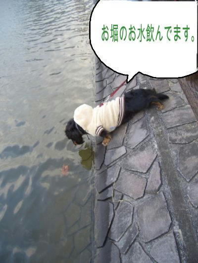 飲んでます.JPG