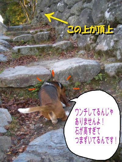 石階段.JPG