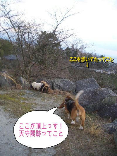 天守閣跡.JPG