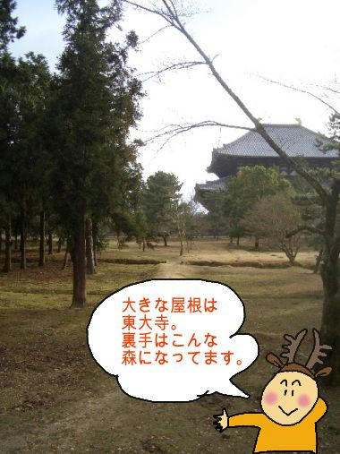 東大寺裏手.JPG