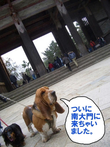 南大門.JPG