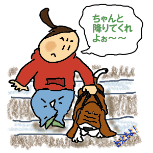 階段.gif