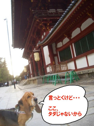 東大寺.JPG