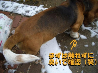 ども、はじめまして！.JPG