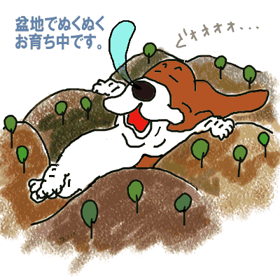 お育ち中.gif