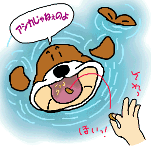 鯉食い.gif