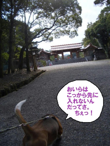 橿原神宮3.JPG