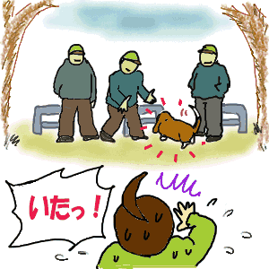 追いかけて追いかけて追いかけて捕まえた.gif