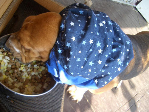 いつもはこんなご飯さぁ～♪.JPG